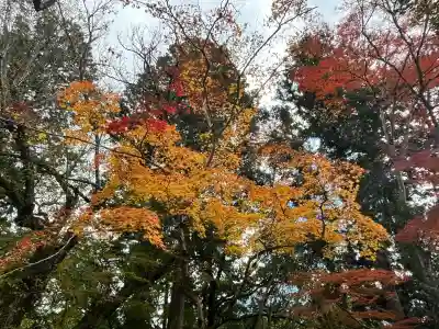 神峯山寺(大阪府)