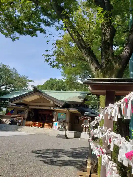 東郷神社の本殿・本堂