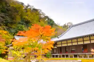 円覚寺(神奈川県)