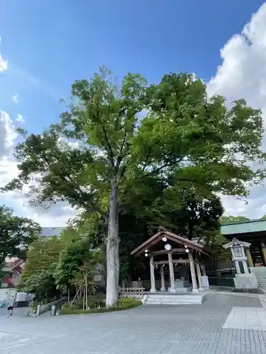東郷神社の自然