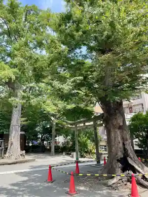 亀岡八幡宮（亀岡八幡神社）(神奈川県)