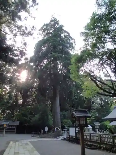 狭野神社のその他建物