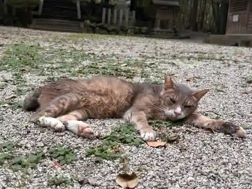 當麻山口神社(奈良県)