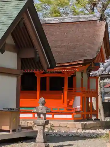 和泉五社総社(大阪府)