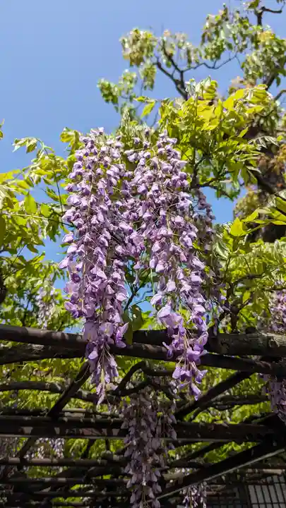 六孫王神社(京都府)