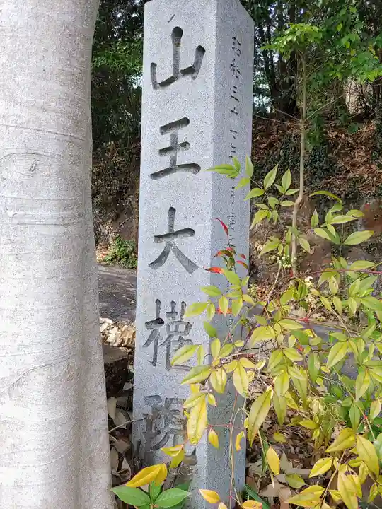 山王大権現(愛知県)
