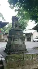 滝野川八幡神社の狛犬