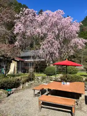 仏隆寺の{uncategorized: "未分類", other: "その他", undefined: "問題あり", building: "その他建物", grave: "お墓", sacred_gate: "鳥居", guardian: "狛犬", statue: "像", buddha: "仏像", history: "歴史", nature: "自然", garden: "庭園", animal: "動物", pagoda: "塔", temizu: "手水舎", mountain_gate: "山門・神門", sanctuary: "本殿・本堂", subordinate: "末社・摂社", art: "芸術", scenery: "景色", jizo: "地蔵", ema: "絵馬", goshuin: "御朱印", omikuji: "おみくじ", items: "授与品その他", amulet: "お守り", goshuincho: "御朱印帳", eats: "食事", festival: "お祭り", votive_dance: "神楽", shichigosan: "七五三参", wedding: "結婚式", experience: "体験その他", initially: "初詣", around: "周辺", anti_infection: "感染症対策"}