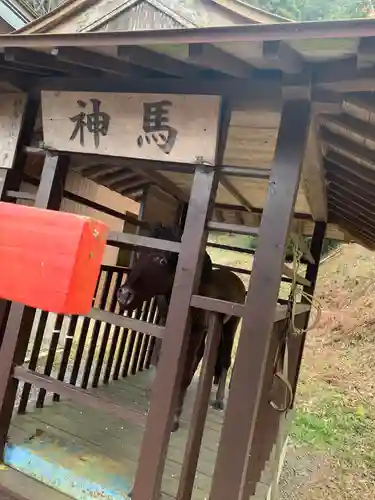 櫻木神社の動物