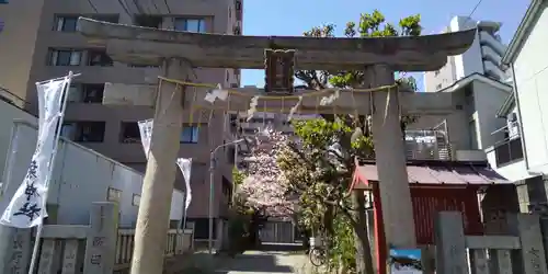 秋葉神社の鳥居