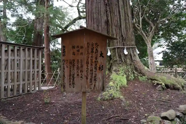 須佐神社(島根県)