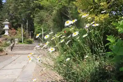 豊景神社の景色