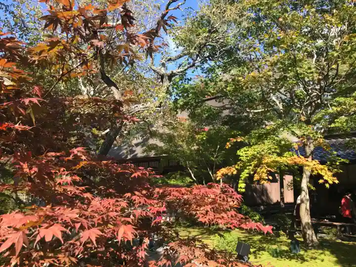 円通院(宮城県)