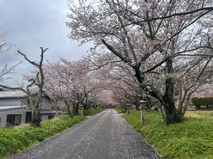 鰐鳴八幡宮(山口県)