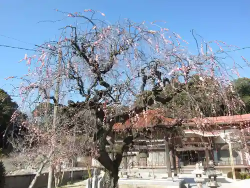 覚天寺(山口県)
