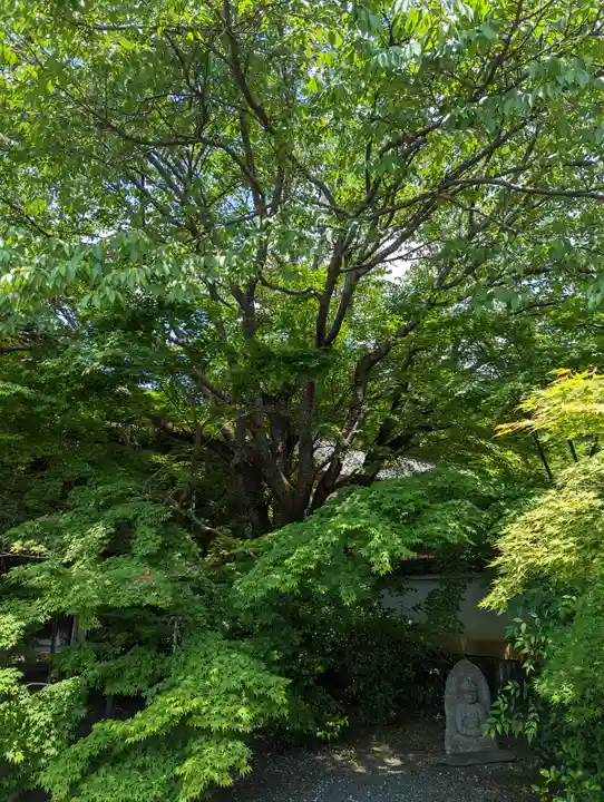 実相院門跡(京都府)