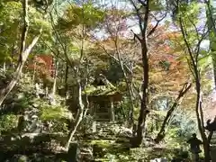 延寿禅寺の自然