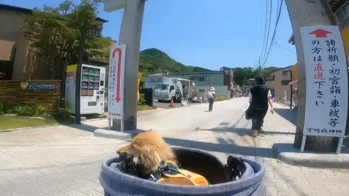 宮地嶽神社(福岡県)