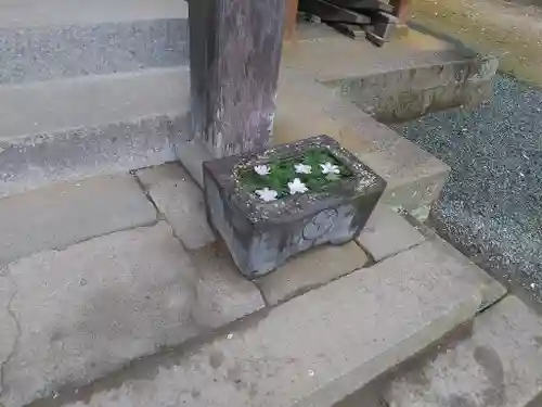 嵐山瀧神社の建物その他