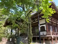 法明寺(東京都)