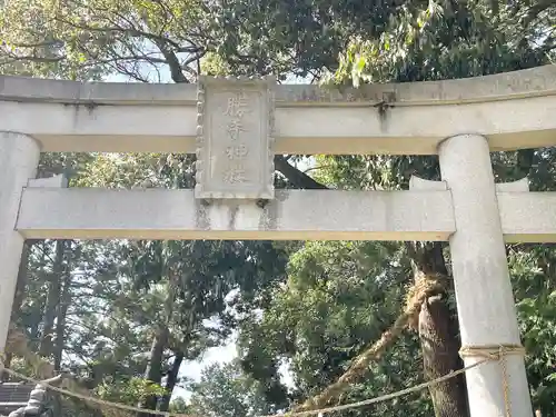 勝手神社の鳥居