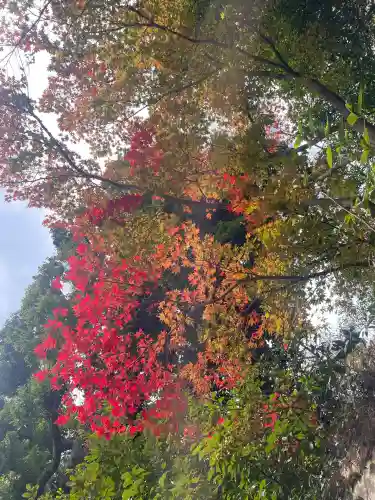 深大寺(東京都)