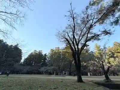 大斎原（熊野本宮大社旧社地）(和歌山県)