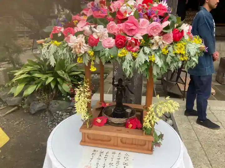 極楽寺(霊鷲山感應院極楽律寺)の芸術