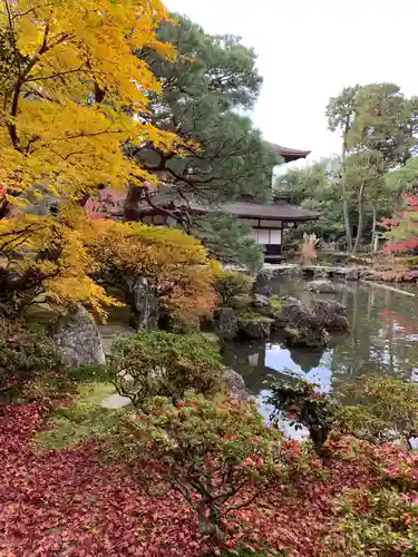 慈照寺（慈照禅寺・銀閣寺）の庭園