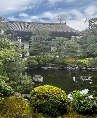 東寺（教王護国寺）の庭園