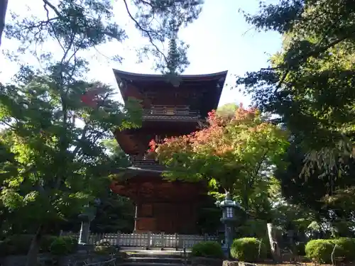 豪徳寺の塔