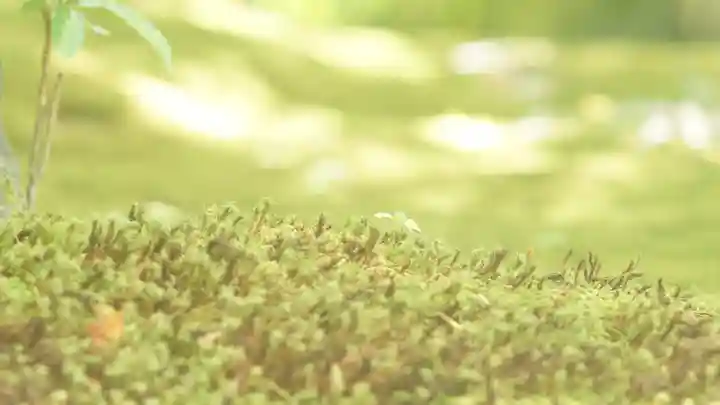 詩仙堂(丈山寺)(京都府)