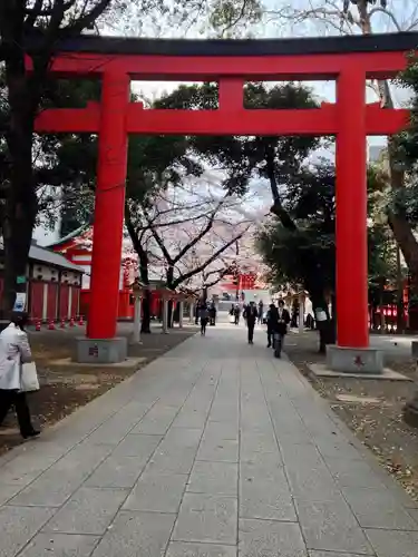 花園神社の鳥居