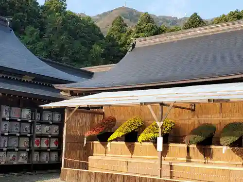 彌彦神社(新潟県)