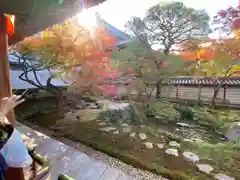 禅林寺（永観堂）(京都府)