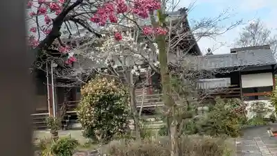 金佛殿 延壽寺（延寿寺）(京都府)