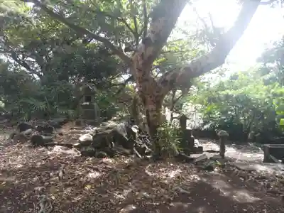 天照皇大神宮(東京都)