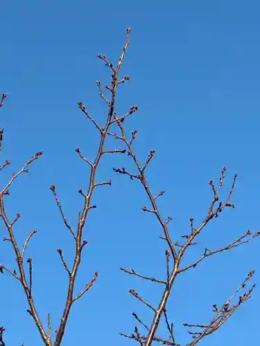 一乗院(和歌山県)