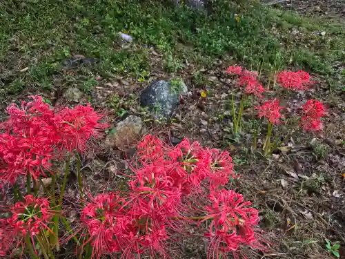科長神社(大阪府)