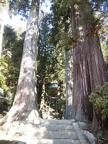 鹿島大神宮の景色