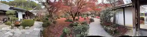 圓光寺(京都府)