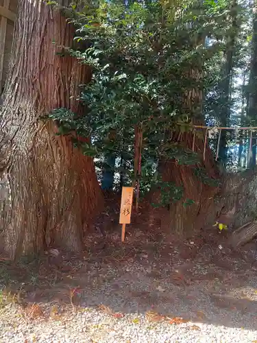 坪沼八幡神社の庭園