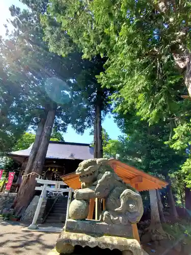 高司神社〜むすびの神の鎮まる社〜の狛犬