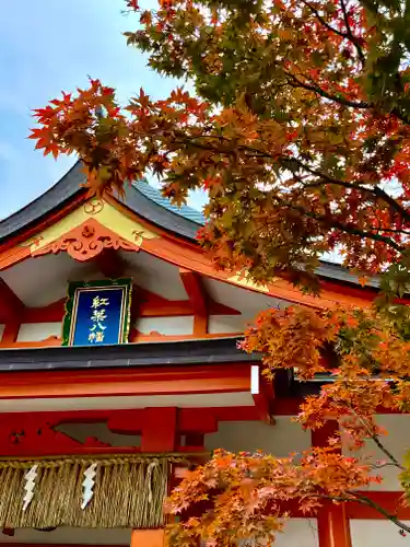 紅葉八幡宮の本殿