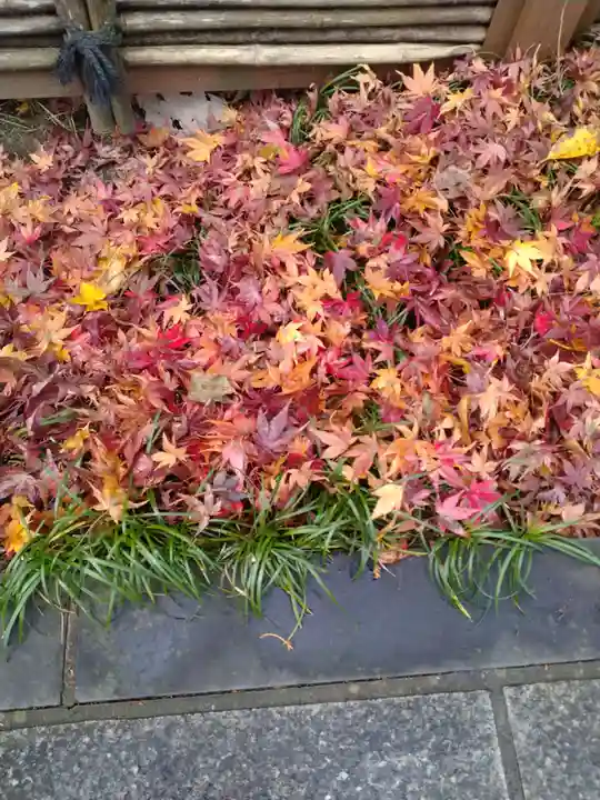 常林寺(宮城県)