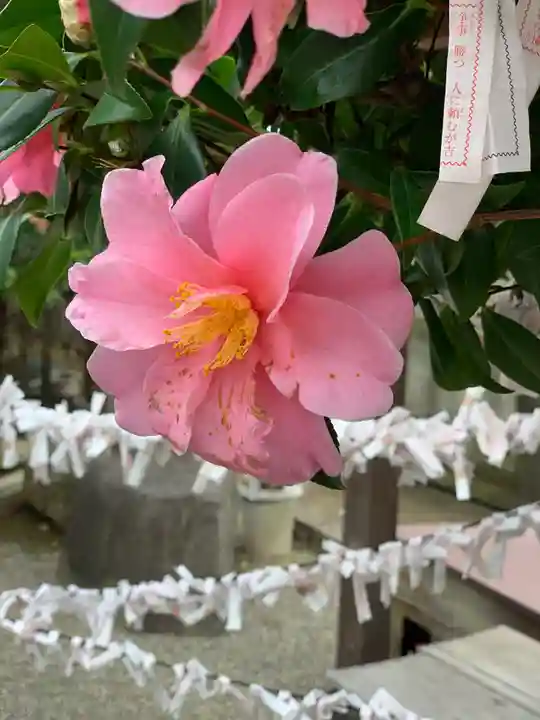 平塚神社の自然