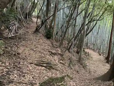 白幡神社(千葉県)