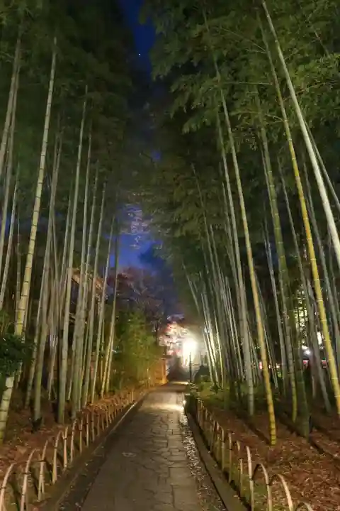 指月殿(静岡県)