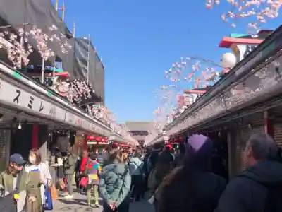 浅草寺(東京都)
