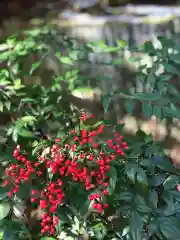 鹿島大神宮(福島県)